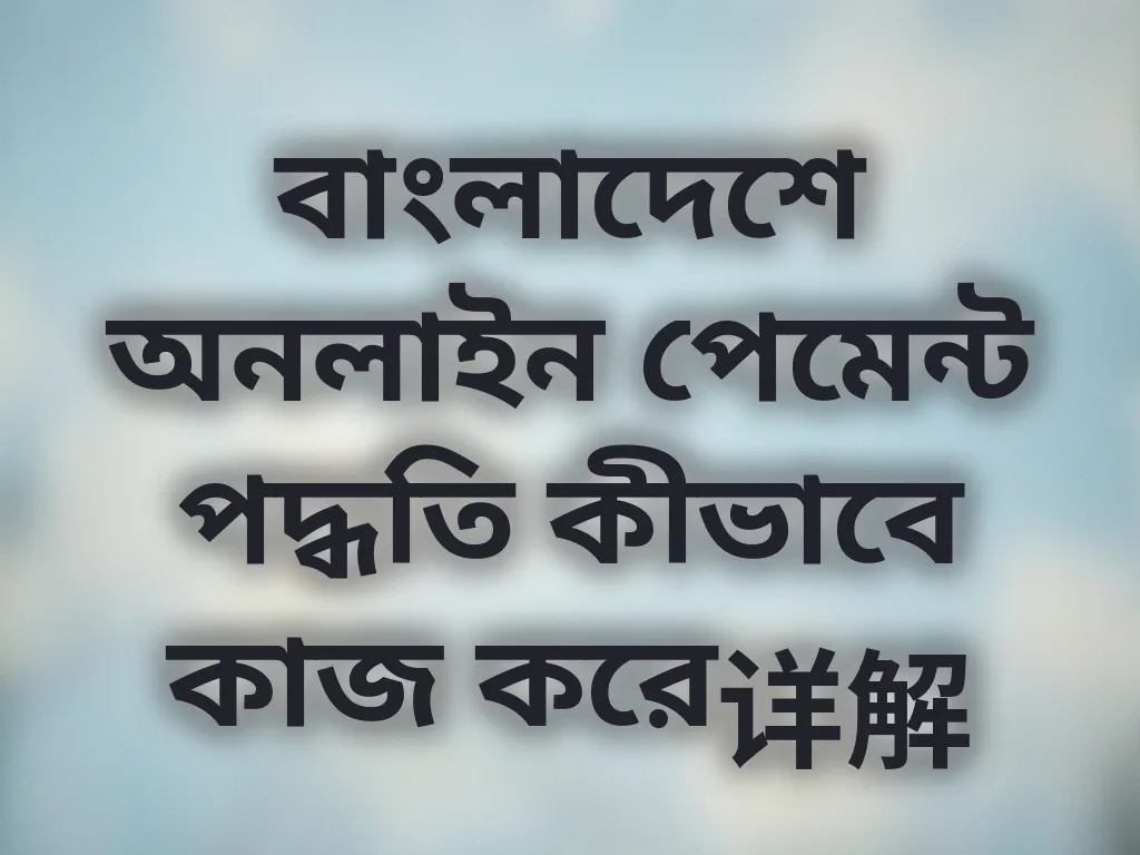 পেমেন্ট পদ্ধতি নির্দেশিকা